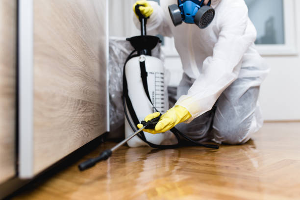 Best Mosquito Control Services  in Carlyle, IL
