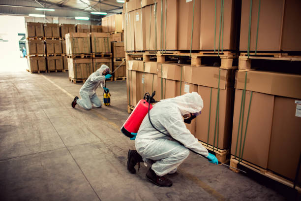 Best Pest Prevention Services  in Carlyle, IL