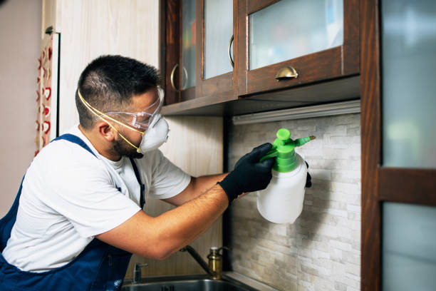 Best Wildlife Control Services  in Carlyle, IL