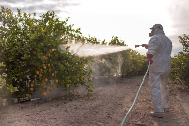 Best Wasp Removal Services  in Carlyle, IL