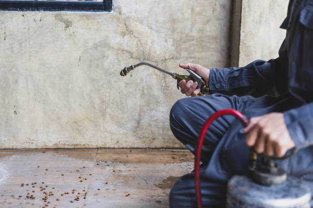 Best Emergency Pest Control  in Carlyle, IL