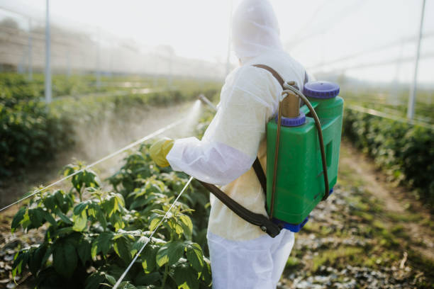 Best Exterminator Services  in Carlyle, IL